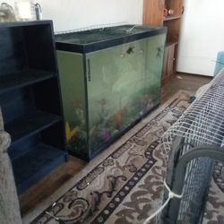115 Gallon Double Thick Glass Aquarium