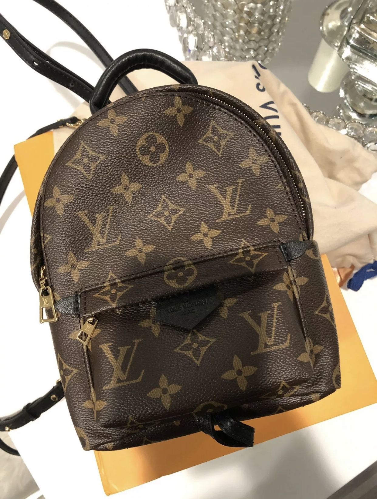 Luis Vuitton Palm Spring Mini Reverse Monogram W Pouch for Sale in  Dunwoody, GA - OfferUp