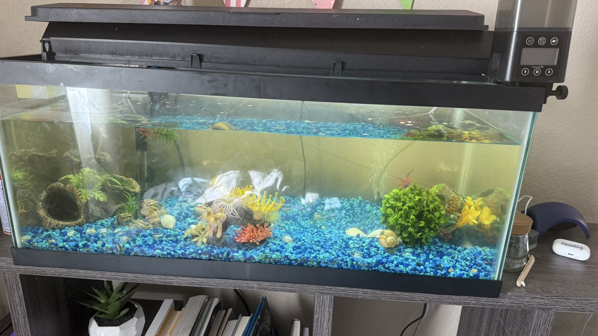 Fish Tank With accessories
