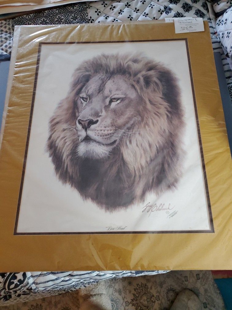 Lion Head