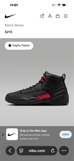 Jordan 10.5 bloodline