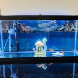 Fish Tank And Accessories 
