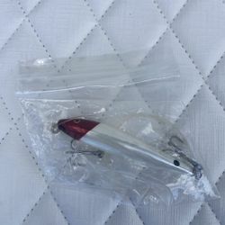 Zara Spook Lure