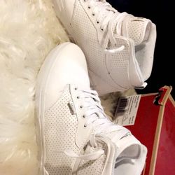 Men's Vans Atwood Hi