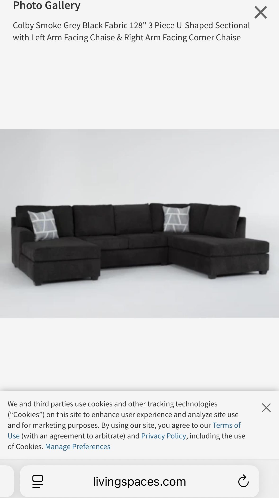 Living Spaces couch-Colby Smoke dark grey 