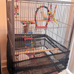 Budgies with a Cage 