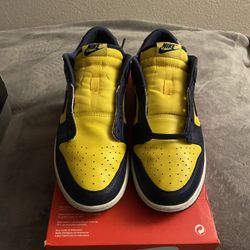 Nike Dunks (Michigan)