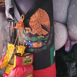 sandbag for boxing and gloves
