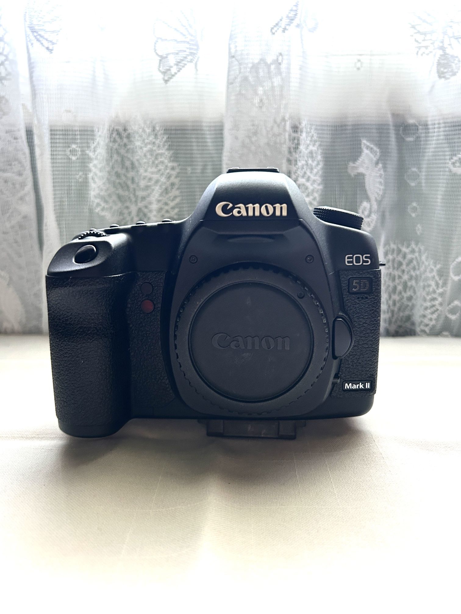 Incredible Prices On Photography Gear And Props