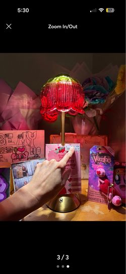 Strawberry short cake lamps