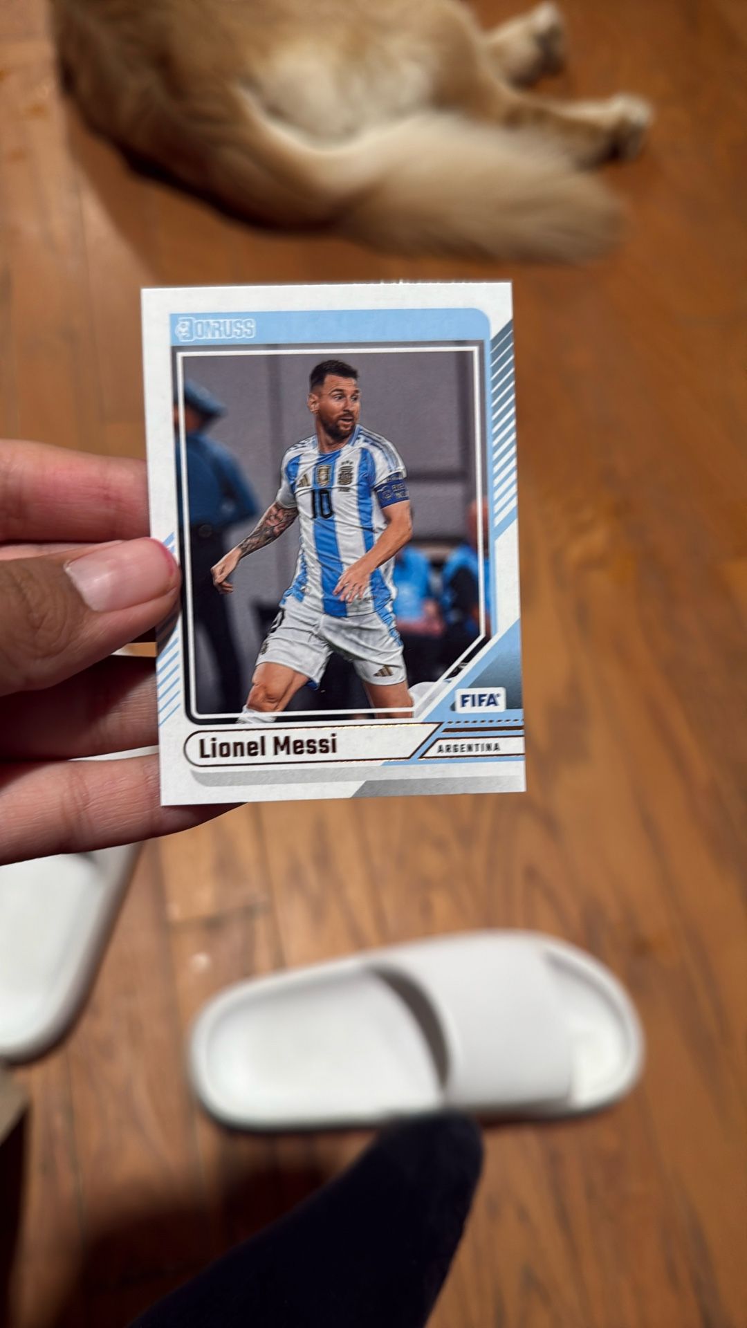 Lionel Messi Panini 24/25 Card