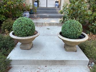 Italian style urn planters pots (2 75 each)