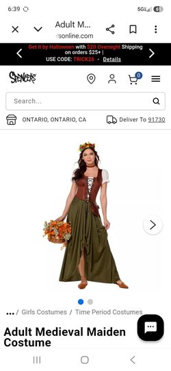 Medieval maiden costume
