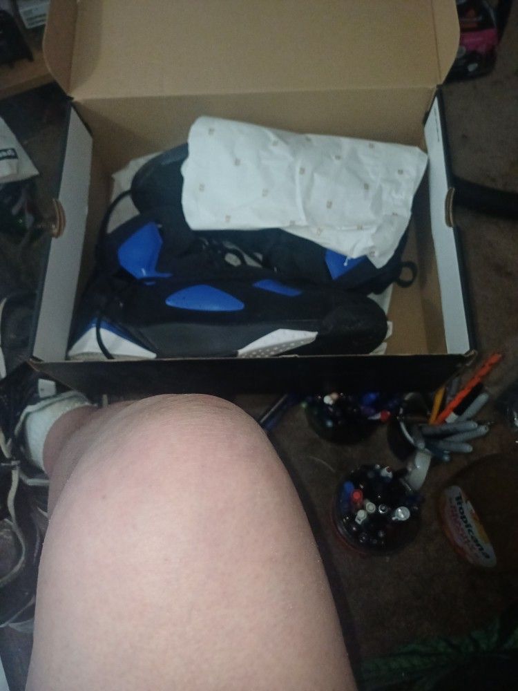 Brand New Air Jordan 'S 12