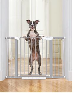 Safety gate