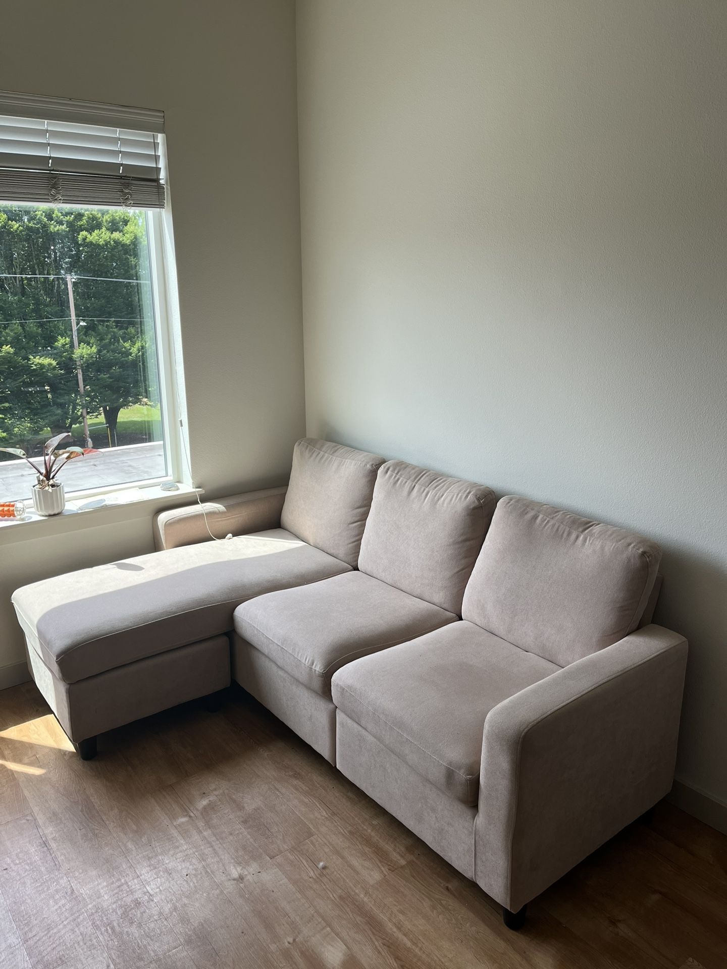 L Shaped Couch