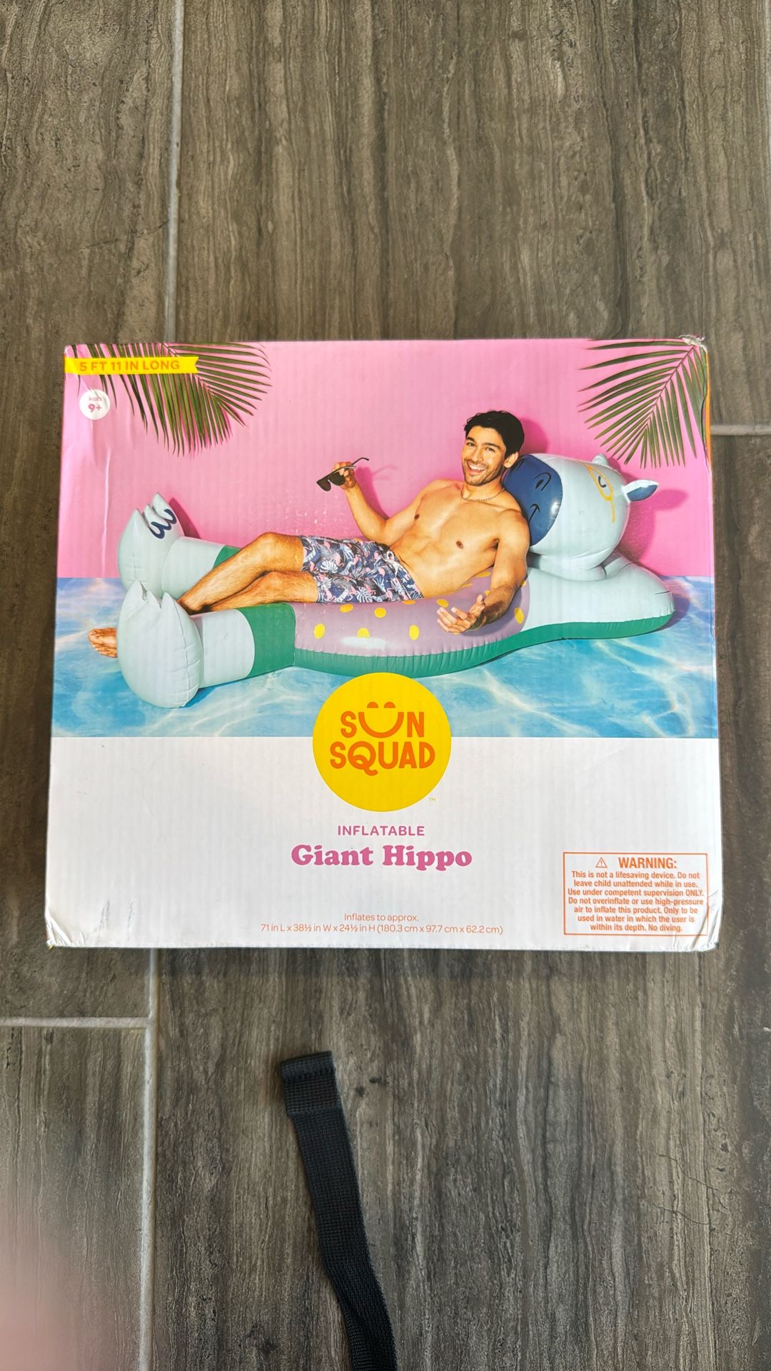 Giant Hippo For Your Pool