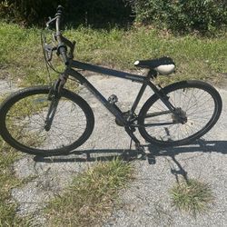Road Master Bicycle 