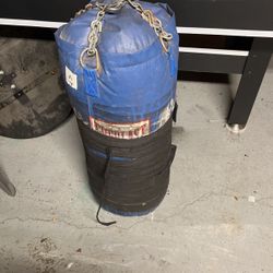 Everlast Punching Bag