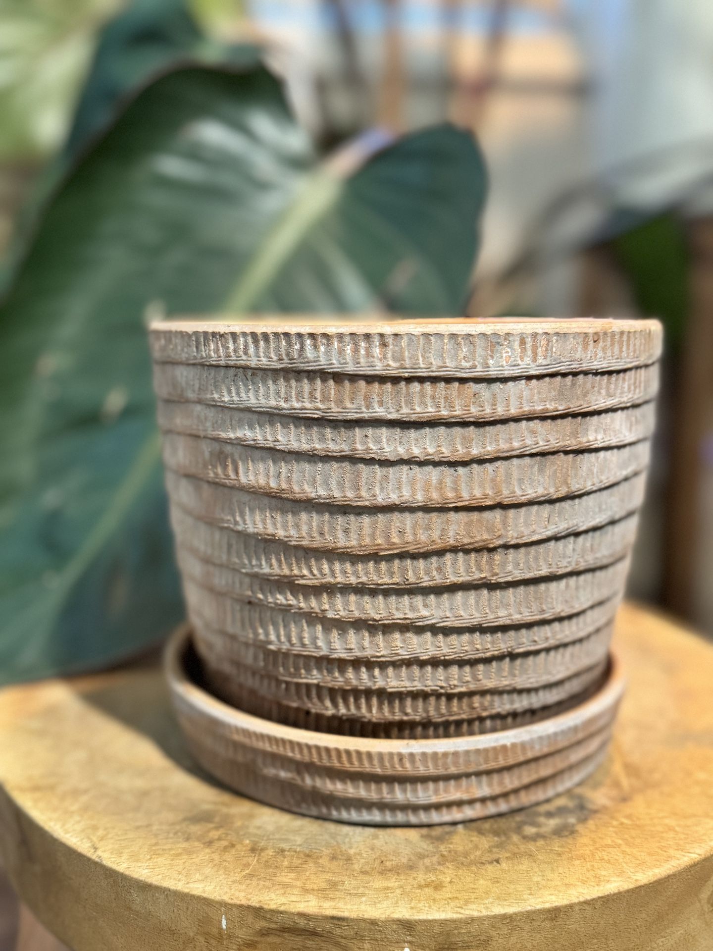 7” Terracotta Textured Flower Pot