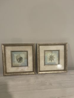 Set of 2 Framed Seashell Prints – Coastal Wall Art