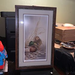 Outdoor Duck Picture Frame 