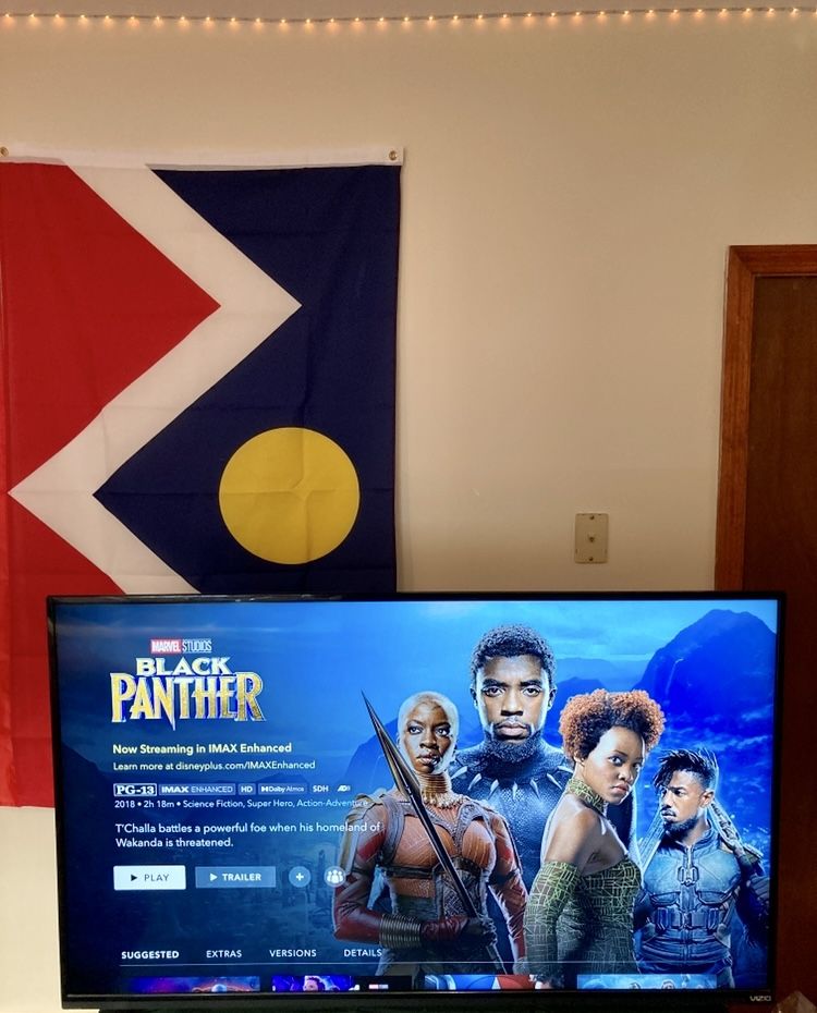 43” VIZIO SMART TV: High-End Ultrathin 1080p Smart Television LIKE NEW with Remote