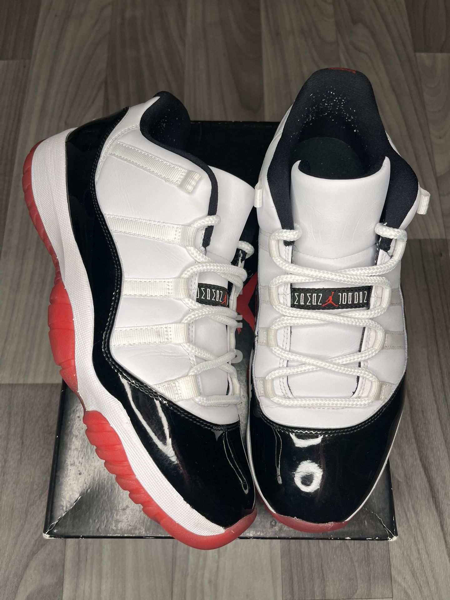 Concord Bred Jordan 11s