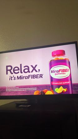 Vizio Flat Screen TV