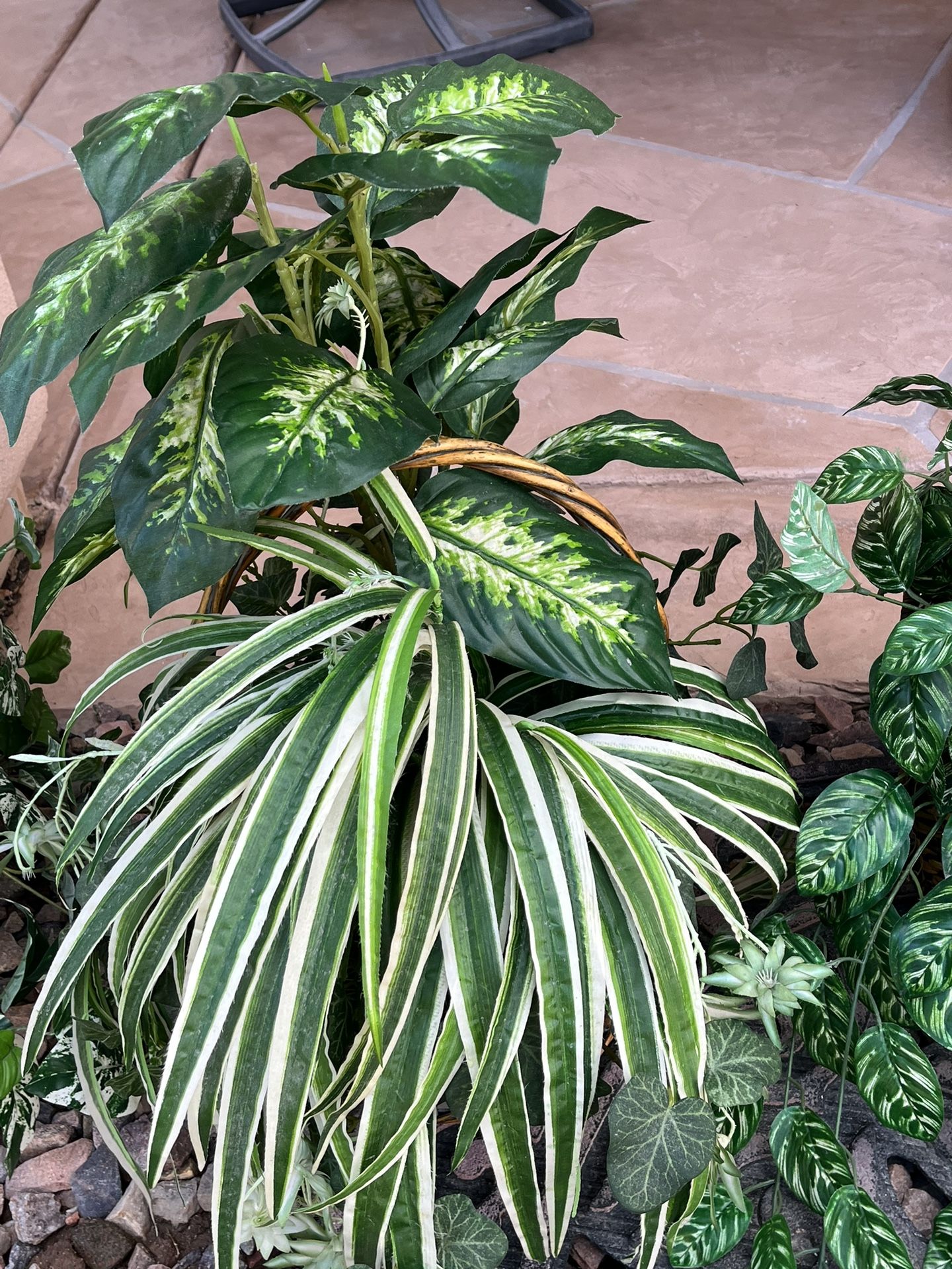 Silk Plants for Sale in Chandler, AZ OfferUp