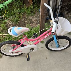 Little Kids Bike