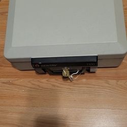 Sentry 1100 Fire Safe