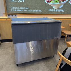 Ice maker bin