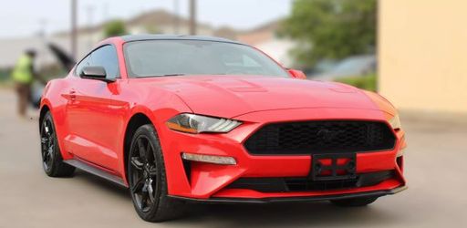 2019 Ford Mustang