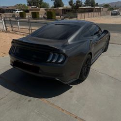 Mustang Carbon Fiber Trunk