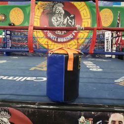 Punching Bag 