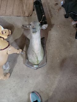 Buck the singing deer