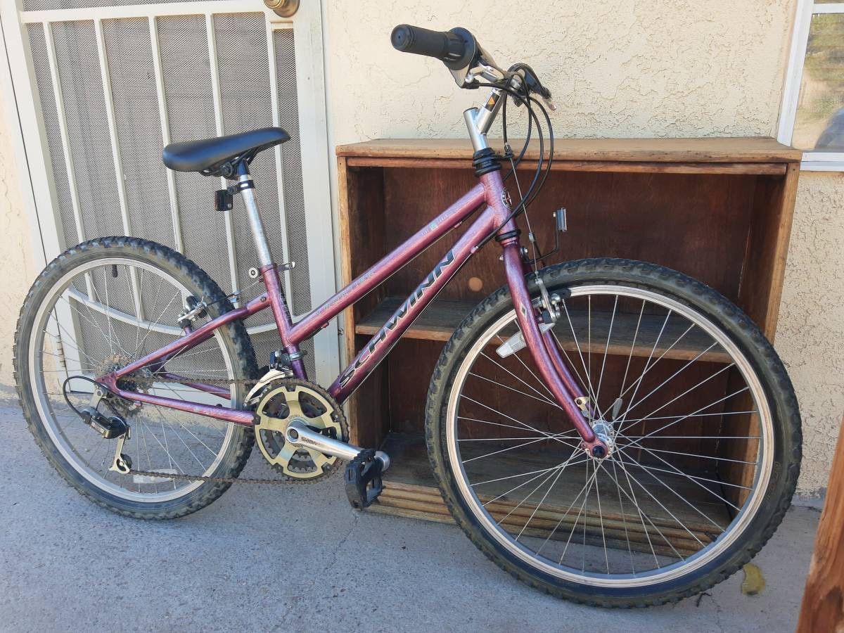 Schwinn Frontier Kids Bike