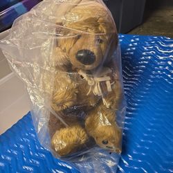 JCP Holoday Bear In Plastic