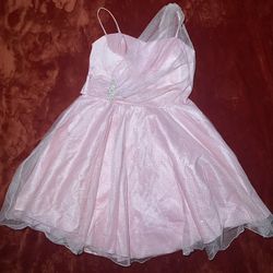 Pink Dress (3XL)