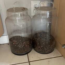 2 Terrariums 15" Tall 