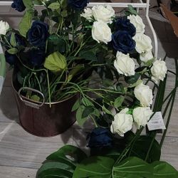 Long Stemmed White And Navy Blue Roses