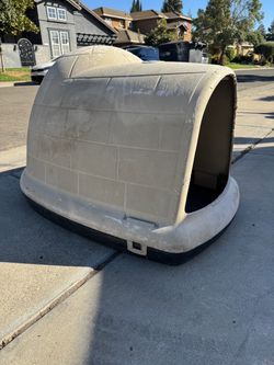 XL dog house