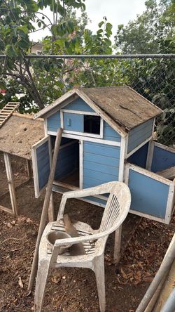 Chicken/Rabbit coop