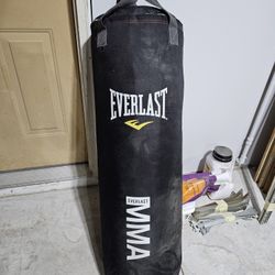 EVERLAST MMA Heavy Bag