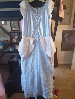 Adult Cinderella Princess Costume Dress