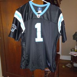 Womens Size 2xl Cam Newton Reebok On The Field Jersey 