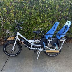 Electric Bike Radwagon 4