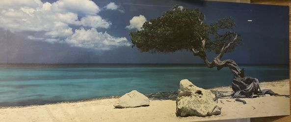 Canvas Wall Decor
