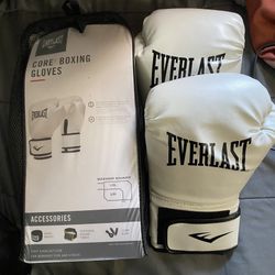 Boxing Gloves 